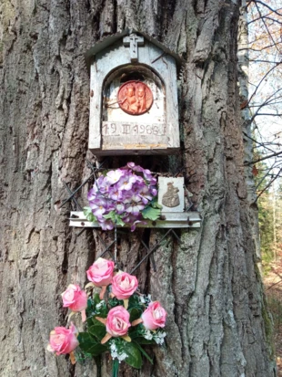 Nadrzewna kapliczka. Fot. Bartosz Świątek