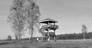 Przyroda dostosowana dla kolekcjonerów. Fot. Janusz Korbel