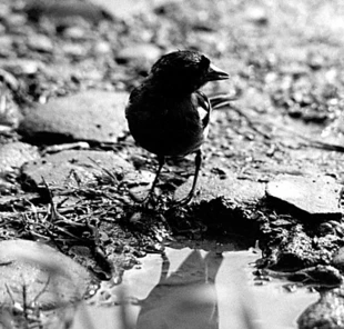 Fot. Przemysław Prytek