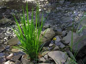 Fot. Andrzej Śliwiński