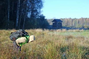 Puszcza Białowieska 2010