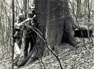 Pomnikowy buk na wschodnim stoku Palenicy. Na fotografii Janusz Tyrlik. Fot. Z Archiwum Pracowni