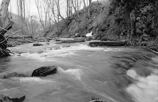 Fot. Dariusz Matusiak