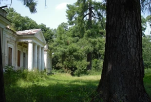Ruiny dworu Puzynów w Hremiaczach nad Pulwą. Fot. Janusz Korbel