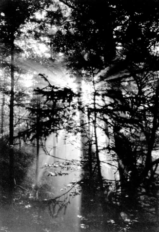 Fot. Janusz Rubisz