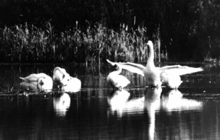 Fot. Sebastian Sołtyszewski