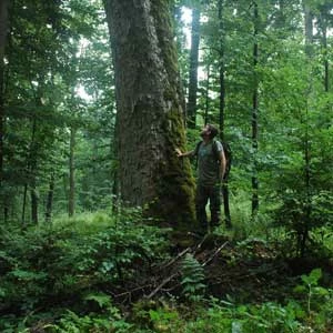 Paweł Średziński. Fot. Fundacja Dziedzictwo Przyrodnicze, WWF Polska