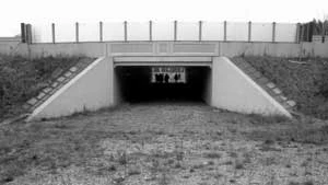 Małe przejście dla zwierząt, autostrada A-4. Fot. Rafał Kurek