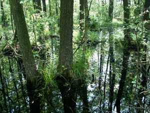 Fot. Krzysztof Wojciechowski