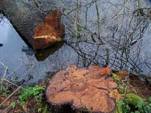 Twórczość człowieka w dolinie Olszówki. Fot. Adam Kubiak