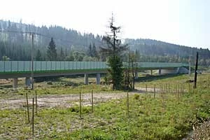 
Estakada o kluczowym znaczeniu dla utrzymania łączności ekologicznej w skali krajowej – droga ekspresowa S-69 w okolicach Zwardonia. Fot. Rafał Kurek
