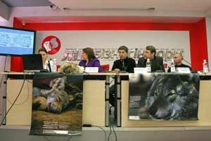 
Konferencja prasowa poświęcona ochronie wilków. Fot. Archiwum Żywej Planety
