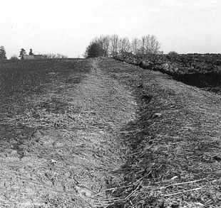 Fot. Piotr Lewandowski