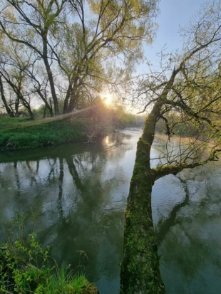 Odra. Fot. Krzysztof Zdebik