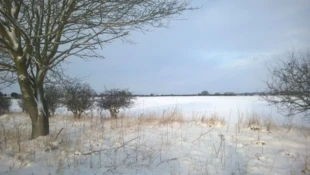 Zaśnieżone pole otulone przez sylwetki drzew, których gałęzie przechowują jeszcze zimowe ślady. W tej wyciszonej scenie dostrzec można tajemną korespondencję między życiem uśpionym a tym, które dopiero się narodzi – dyskretny rytm ziemi, w którym człowiek zawsze uczestniczy, Hovigham, Anglia. Fot. Piotr Biegasiewicz