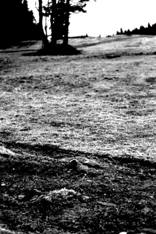 Darń zdjęta ze zbocza Pilska. Czy sprawca zostanie ukarany? Fot. Janusz Korbel