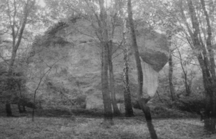 Rezerwat Zimny Dół. Fot. Mariusz Waszkiewicz