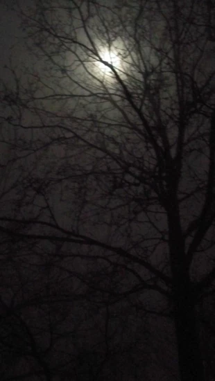 Bez śmierci nie ma ciemności, w której mógłby zabłysnąć diament. Fot. Monika Stasiak