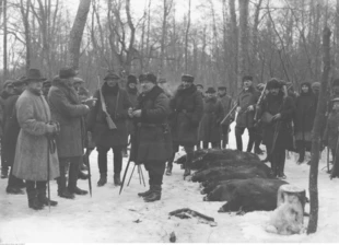 Polowanie w ordynacji księcia Karola Mikołaja Radziwiłła. Uczestnicy polowania przy upolowanych dzikach na leśnej polanie. Od lewej widoczni m.in.: hrabia Paweł Potocki, prezydent RP Ignacy Mościcki i książę Karol Mikołaj Radziwiłł (w środku). Fot. Narodowe Archiwum Cyfrowe