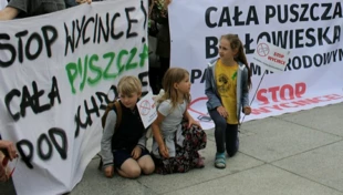 W obronie Puszczy, Katowice 2017 r. Fot. Ryszard Kulik