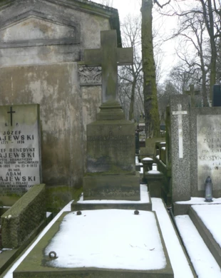 Grób Władysława Taczanowskiego na Cmentarzu Powązkowskim. Fot. Krzysztof Kołodziejczyk