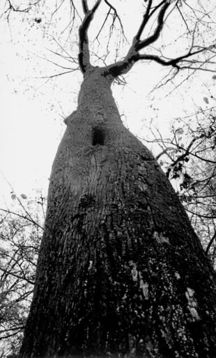 Fot. Przemysław Prytek