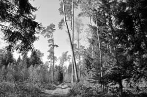 Ścieżka ekologiczna Dokudowo. Fot. Janusz Korbel