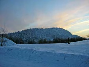 Bukowiec. Fot. Wojciech Perczyński