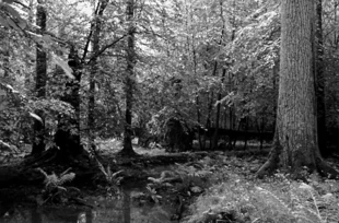 Fot. Krzysztof Mazurkiewicz