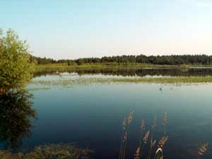 Fot. Krzysztof Wojciechowski