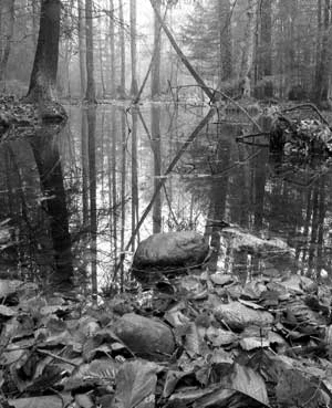 Wilcza dolina, Fot. Janusz Korbel