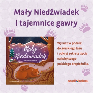 Maly-Niedzwiadek-1080x1080