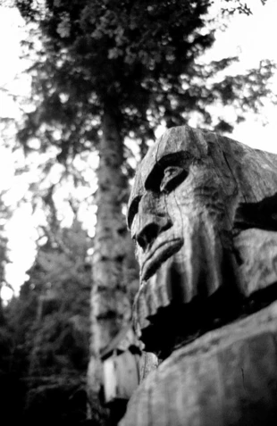 Fot. Dariusz Matusiak