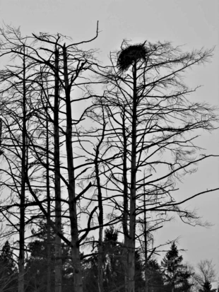 Fot. Marek Bielski