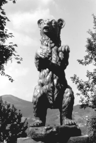 Fot. Dariusz Matusiak