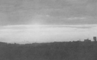 Fot. Joanna Milewska