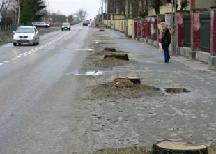 Na przełomie 2006/2007 tylko przy tej drodze prowadzącej z Kętrzyna do Bartoszyc wycięto aż 4105 drzew! Fot. Krzysztof A. Worobiec