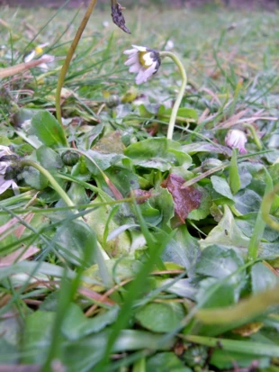 Nowe życie rodzi się z ciemnego, miękkiego brzucha Ziemi. Fot. Monika Stasiak