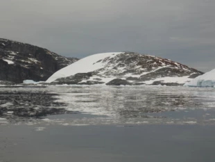 Wyspa Green – Antarktyczne Obszary Specjalnej Ochrony (ASPA) niedaleko od Ukraińskiej Stacji Polarnej. Fot. Iwan Parnikoza