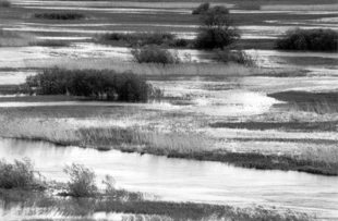 Biebrzański Park Narodowy. Fot. Sebastian Sołtyszewski