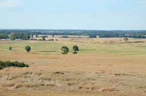 
Widok z Góry Papieskiej w Pelplinie. To tu być może będzie stała Elktrownia Północ. Sielski charakter zniknie nieodwracalnie. Fot. Olga Sypuła
