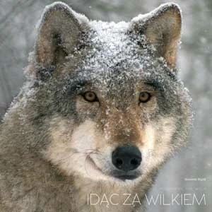 Okładka „Idąc za wilkiem” Sławomira Wąsika