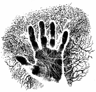 Rys. Krzysztof Figielski