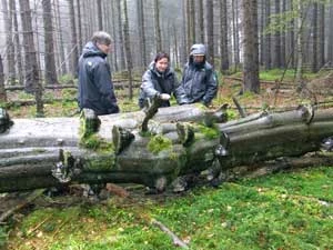 Park narodowy – miejsce gdzie ingerencja w naturalne procesy przyrodnicze powinna być tylko rzadko spotykanym wyjątkiem. Fot. Andrzej Jermaczek