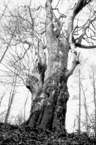 Fot. Dariusz Matusiak