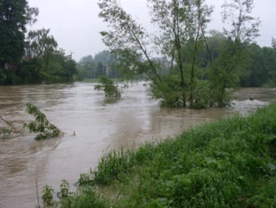 
Powódź przynosi śmieci, które spływają z górnej części rzeki – na fotografii miejsce gdzie potok Lubatówka wpada do Wisłoka w Krośnie, czerwiec 2010 r. Fot. Grzegorz Bożek

