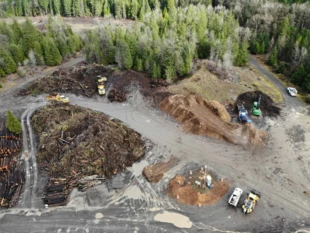 
Ważnymi dostawcami biomasy drzewnej do Europy są USA i Kanada. Drewno i odpady zrębowe są na miejscu rozdrabniane na zrębki. Po rozdrobnieniu nie można dojść źródła pochodzenia. Źródło: Departament Transportu Stanu Oregon, CC BY-SA 2.0 flickr.com
