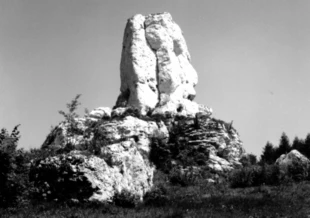 Jurajski ostaniec. Fot. Janusz Rubisz