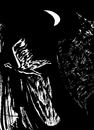 Rys. Krzysztof Figielski