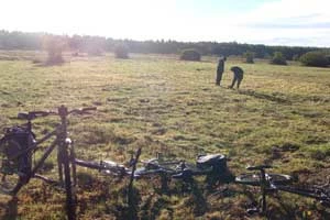 Polana Wilczy Gród, o świcie. Pierwsze słońce po tygodniu nieustannego deszczu. Fot. Weronika Świderska